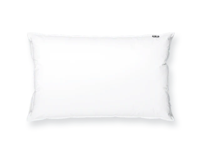 Image du produit 15